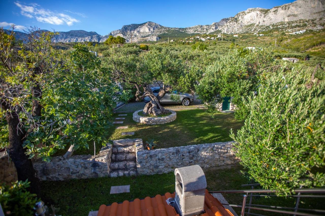 Villa Old Olive, 3Lovelyvillas Подгора Екстериор снимка