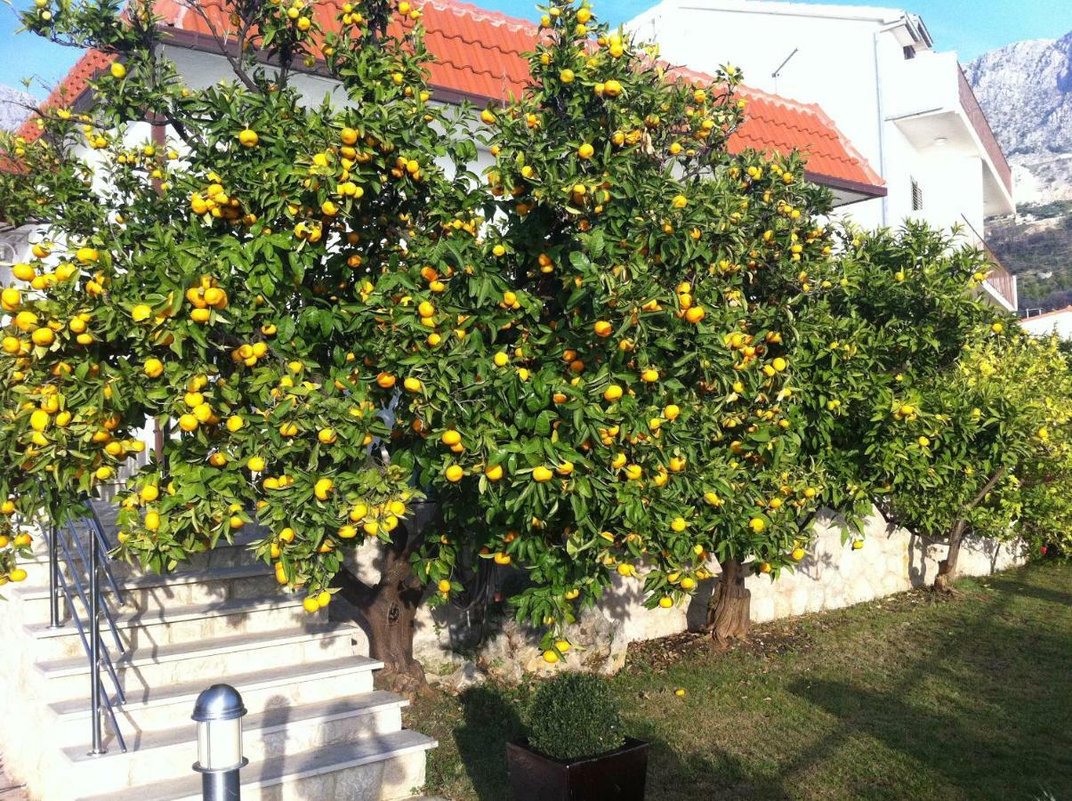 Villa Old Olive, 3Lovelyvillas Подгора Екстериор снимка